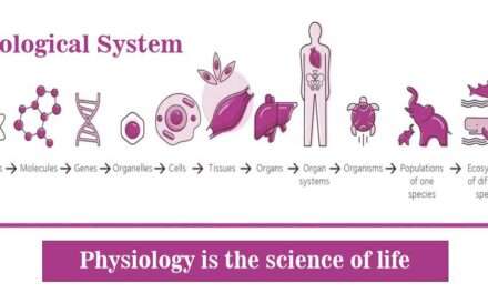 What Is Physiology? (2023)